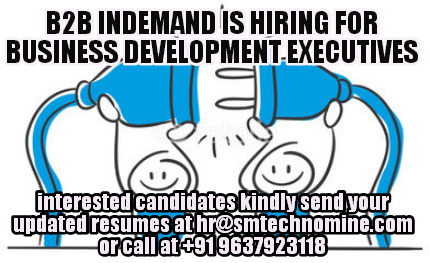 b2b-indemand-is-hiring-for-business-development-executives-interested-candidates