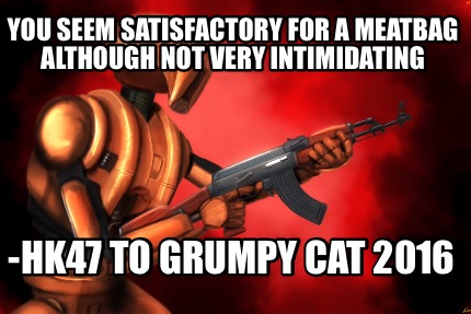 you-seem-satisfactory-for-a-meatbag-although-not-very-intimidating-hk47-to-grump