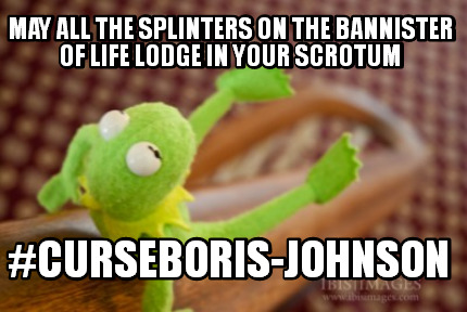 may-all-the-splinters-on-the-bannister-of-life-lodge-in-your-scrotum-curseboris-