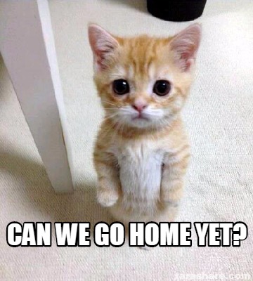 Meme Creator - Funny Can we go home yet? Meme Generator at MemeCreator.org!