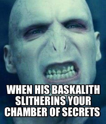 Meme Creator - Funny When his baskalith slitherins your chamber of ...