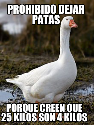 Meme Creator - Funny Prohibido dejar patas Porque creen que 25 KILOS ...