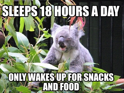 sleeps-18-hours-a-day-only-wakes-up-for-snacks-and-food