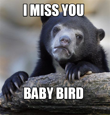 Meme Creator Funny I Miss You Baby Bird Meme Generator At Memecreator Org