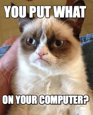 Meme Creator - Funny You put what on your computer? Meme Generator at ...