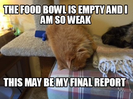 the-food-bowl-is-empty-and-i-am-so-weak-this-may-be-my-final-report