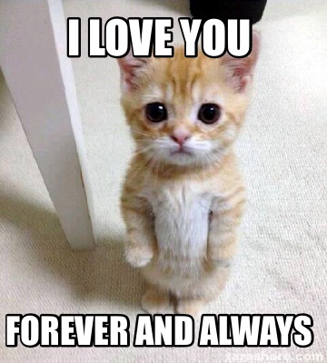 Meme Creator Funny I Love You Forever And Always Meme Generator At Memecreator Org