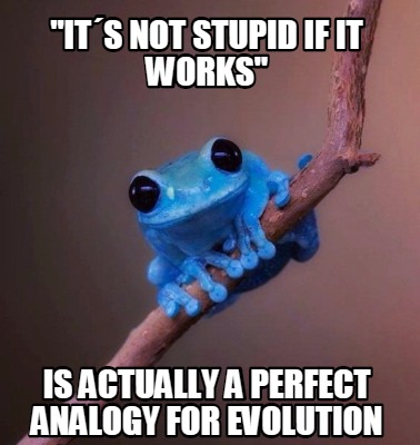 its-not-stupid-if-it-works-is-actually-a-perfect-analogy-for-evolution