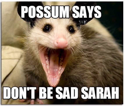 Meme Creator - Funny Possum says don't be sad Sarah Meme Generator at ...