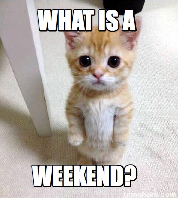 Meme Creator - Funny What is a weekend? Meme Generator at MemeCreator.org!