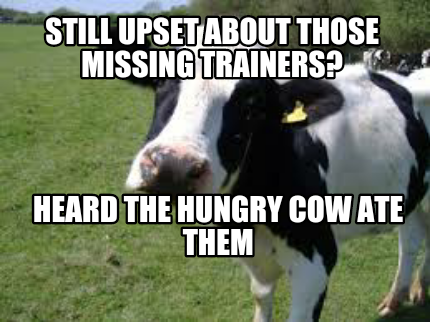 still-upset-about-those-missing-trainers-heard-the-hungry-cow-ate-them