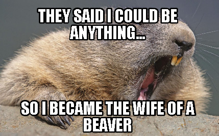 they-said-i-could-be-anything...-so-i-became-the-wife-of-a-beaver