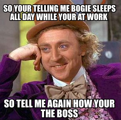 Meme Creator - Funny So your telling me bogie sleeps all day while your ...