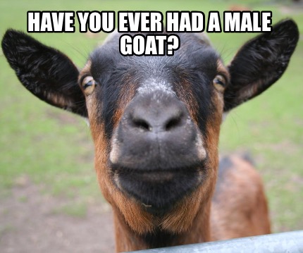 Meme Creator - Funny Have you ever had a male goat? Meme Generator at ...