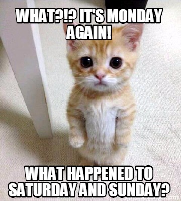 Meme Creator - Funny What?!? It's Monday again! what happened to ...