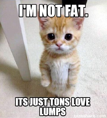 Meme Creator Funny I M Not Fat Its Just Tons Love Lumps Meme Generator At Memecreator Org