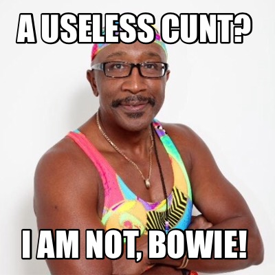 Meme Creator - Funny A Useless Cunt? I Am Not, Bowie! Meme Generator At 