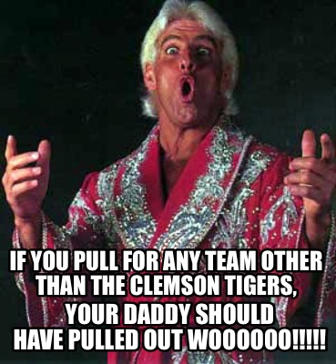 Meme Creator Funny If You Pull For Any Team Other Than The Clemson Tigers Your Daddy Should Have P Meme Generator At Memecreator Org
