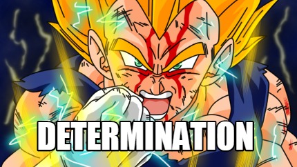 determination9