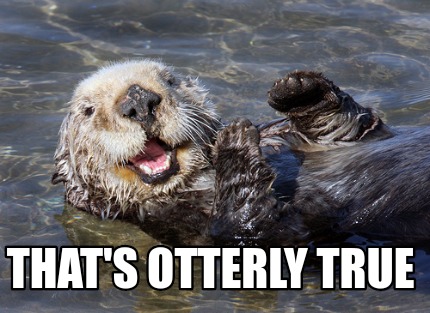 Meme Creator - Funny That's otterly true Meme Generator at MemeCreator.org!