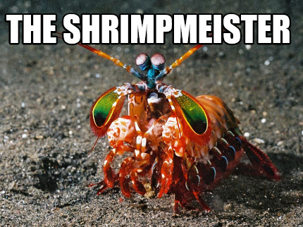 the-shrimpmeister