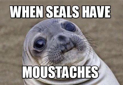 Meme Creator - Funny when seals have moustaches Meme Generator at ...