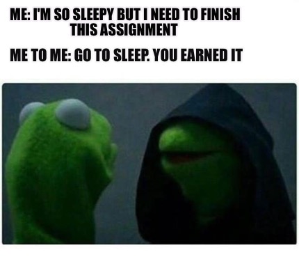 Meme Creator - Me: I'm so sleepy but I need to finish this assignment ...