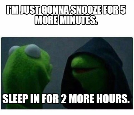 Meme Creator - Funny I'm Just Gonna Snooze For 5 More Minutes. Sleep In 