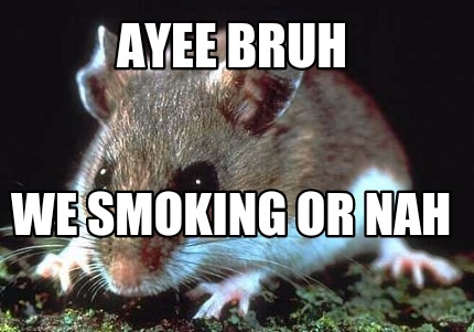 ayee-bruh-we-smoking-or-nah