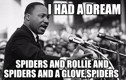 i-had-a-dream-spiders-and-rollie-and-spiders-and-a-glovespiders
