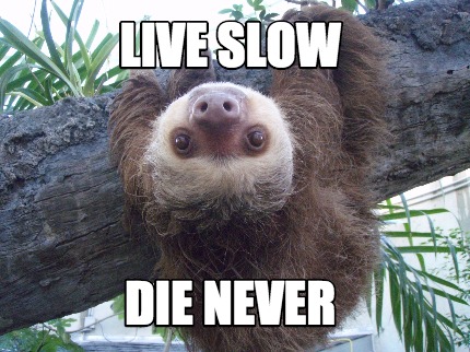 Meme Creator - Funny Live Slow Die Never Meme Generator at MemeCreator.org!