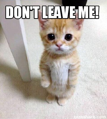 Meme Creator - Funny Don't Leave Me! Meme Generator at MemeCreator.org!