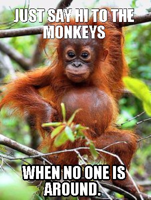 Meme Creator - Funny Just say Hi to the monkeys When no one is around ...