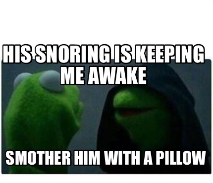 Meme Creator Funny His Snoring Is Keeping Me Awake Smother Him With A Pillow Meme Generator At Memecreator Org