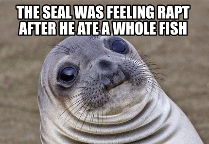 Meme Creator - Funny the seal was feeling rapt after he ate a whole ...