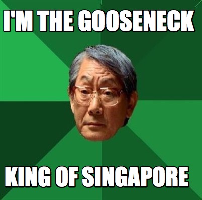 Meme Creator - Funny I'm the Gooseneck King of Singapore Meme Generator ...