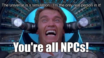 the-universe-is-s-simulation.-im-the-only-real-person-in-it-youre-all-npcs