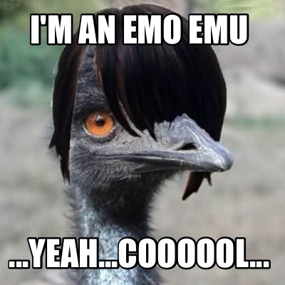 im-an-emo-emu-...yeah...coooool2