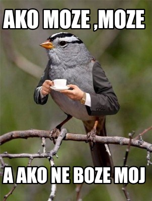 Meme Creator Funny Ako Moze Moze A Ako Ne Boze Moj Meme Generator At Memecreator Org