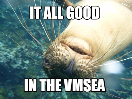 it-all-good-in-the-vmsea