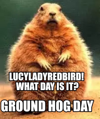 Meme Creator - Funny Lucyladyredbird! What day is it? GROUND HOG DAY ...