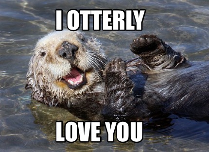 Meme Creator - Funny I otterly Love you Meme Generator at MemeCreator.org!