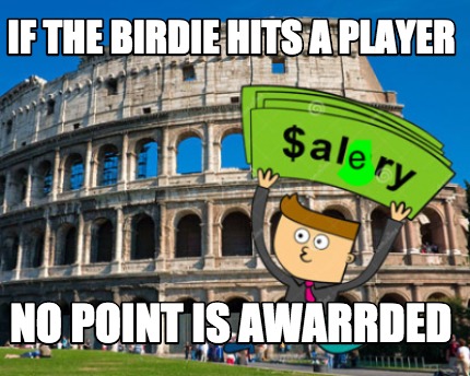 if-the-birdie-hits-a-player-no-point-is-awarrded