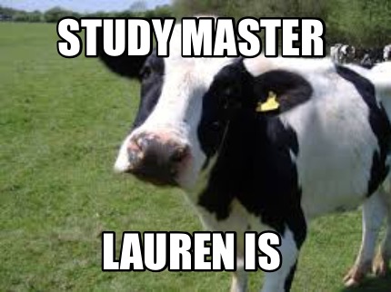 study-master-lauren-is