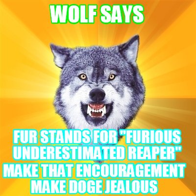 Meme Creator - Funny Wolf says Fur stands for 