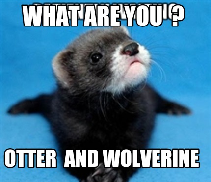 what-are-you-otter-and-wolverine