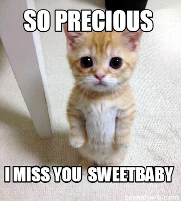 Meme Creator - Funny so precious i miss you sweetbaby Meme Generator at ...