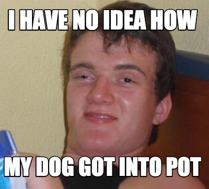 Meme Creator - Funny I have no idea how my dog got into pot Meme ...