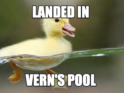 landed-in-verns-pool