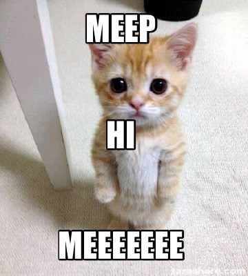 Meme Creator - Funny Meep Meeeeeee Hi Meme Generator at MemeCreator.org!